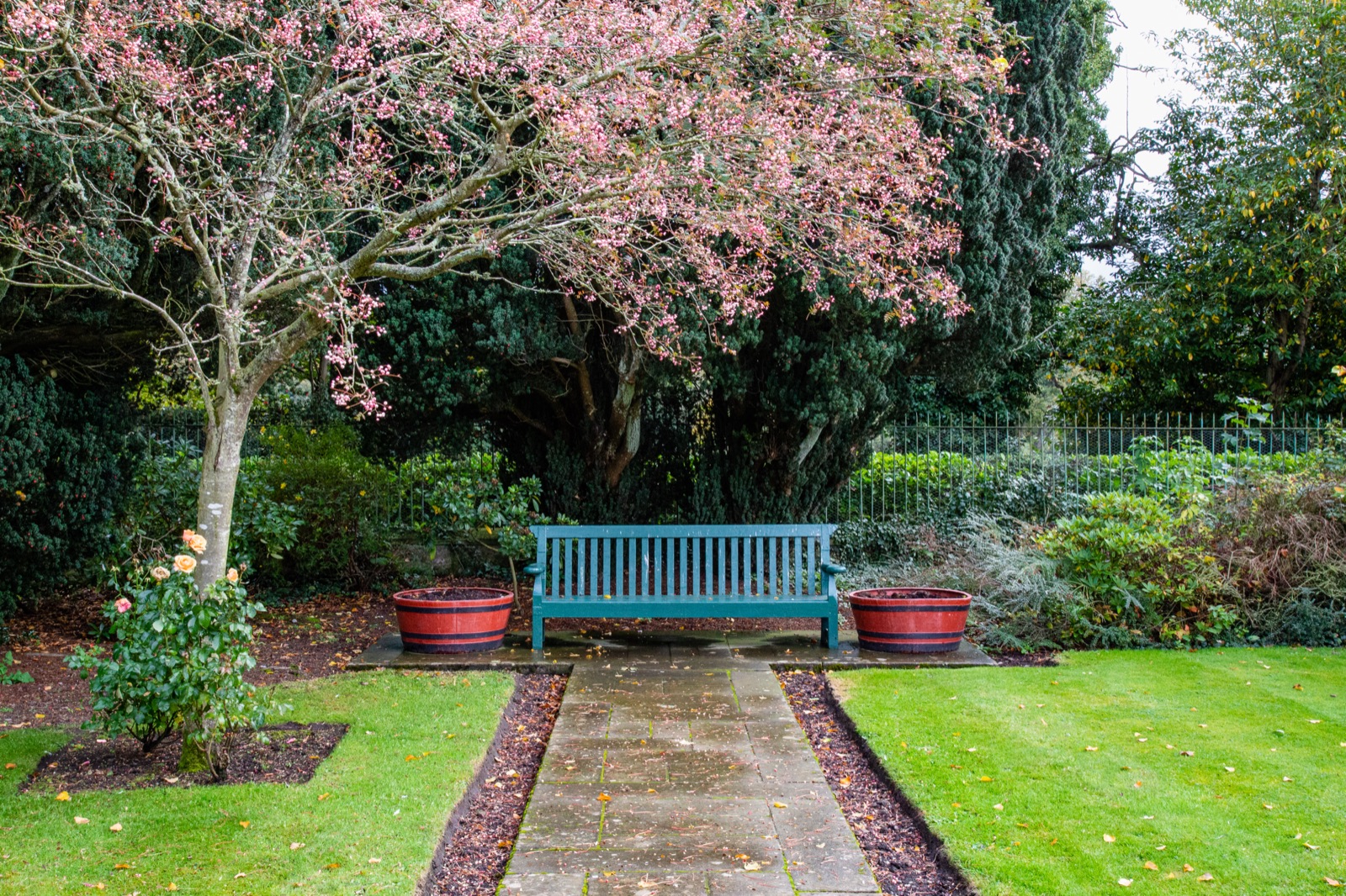 Blossoming tree over a garden bench — Sylva Vale's considered, long-term approach to tree work