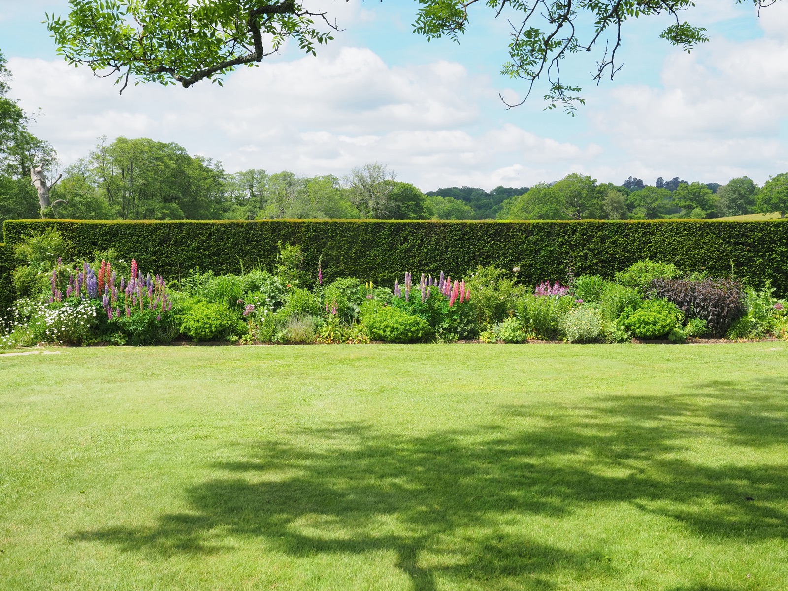 Well-managed formal hedge behind a colourful garden border